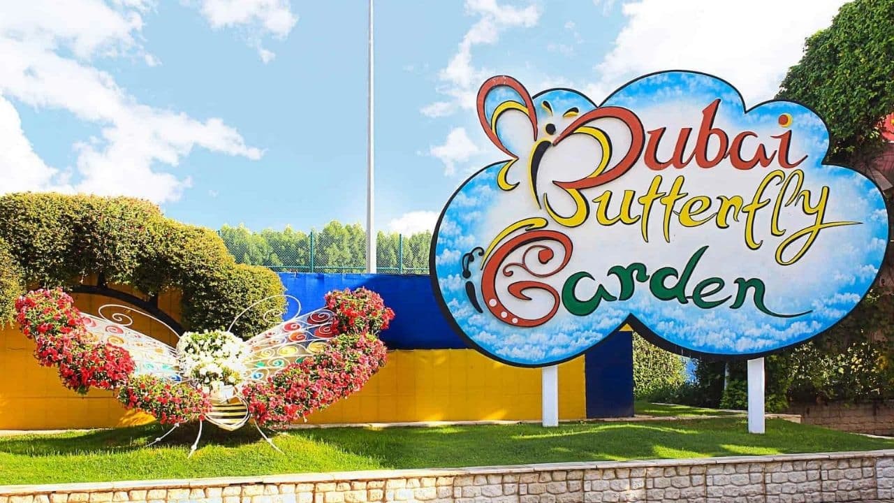 Butterfly Garden