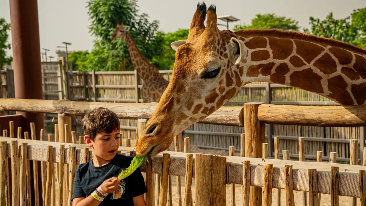 Emirates Zoo
