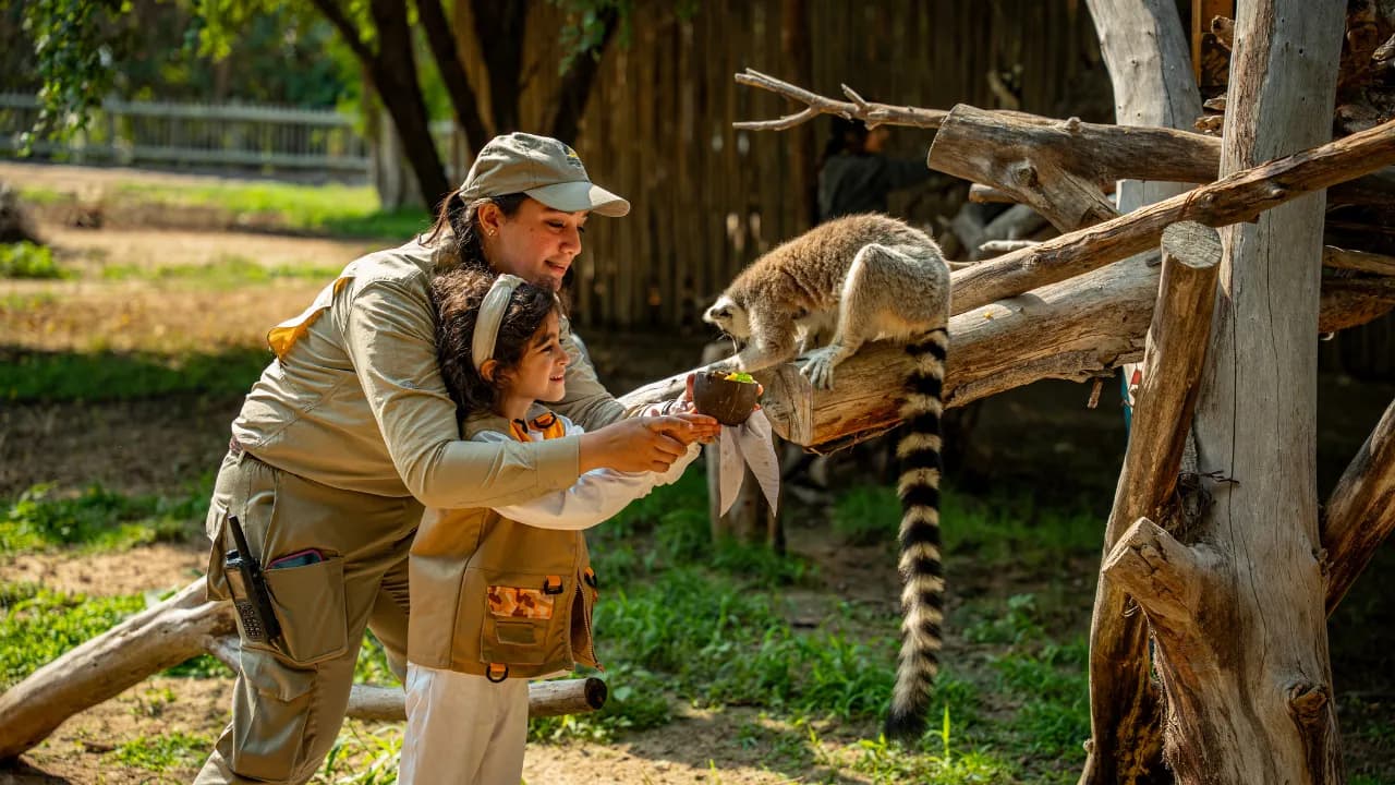 Emirates Zoo