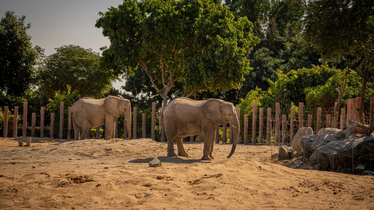 Emirates Zoo